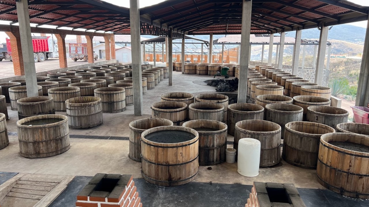 Botellas de Mezcal